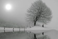 Umursamaz Bir İnsan