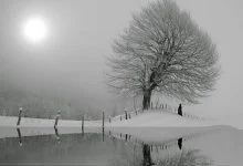 Umursamaz Bir İnsan